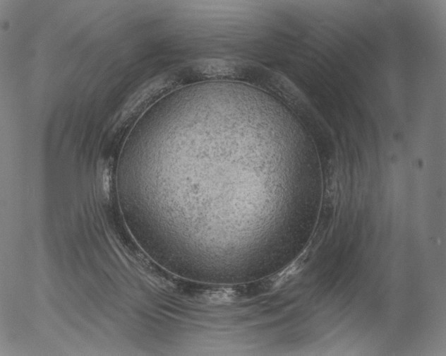 X0000055990124200509021648