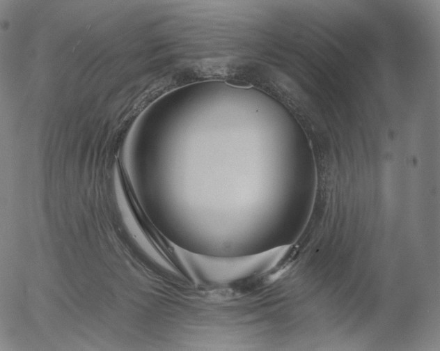 X0000055990125200509021648