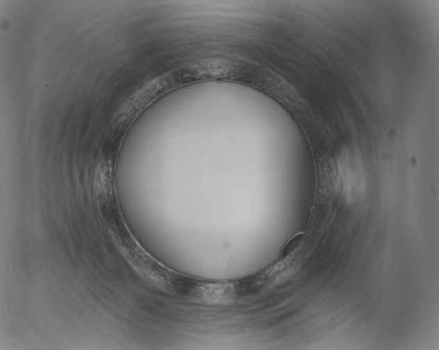 X0000055990126200509021648