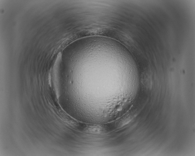 X0000055990127200509021648