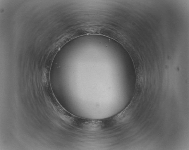 X0000055990128200509021648