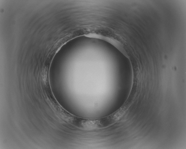 X0000055990129200509021648