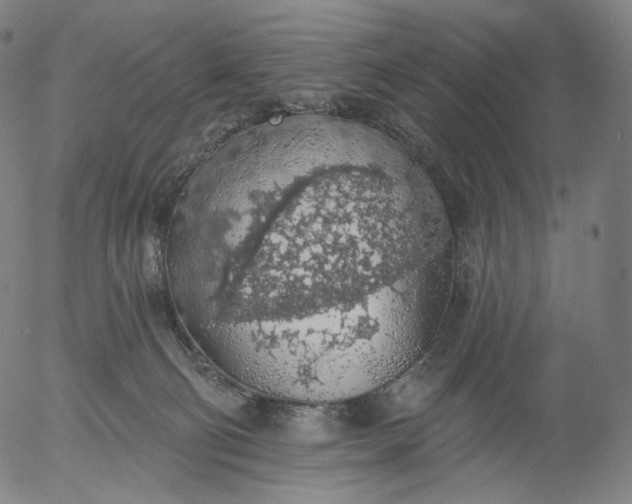 X0000055990130200509021648