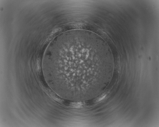 X0000055990131200509021648