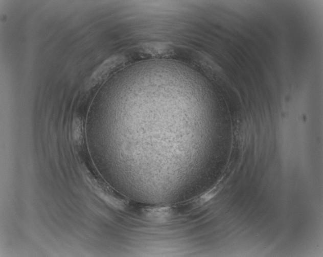 X0000055990132200509021648