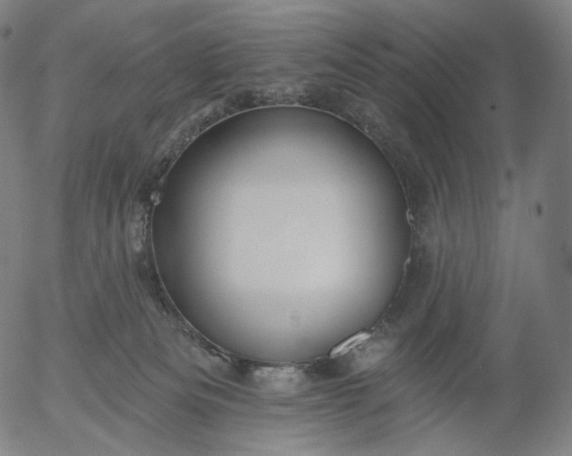 X0000055990133200509021648