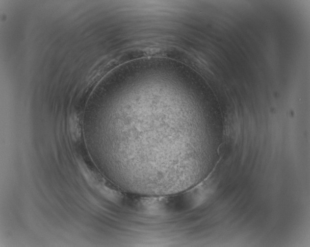 X0000055990136200509021648