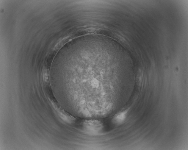 X0000055990137200509021648