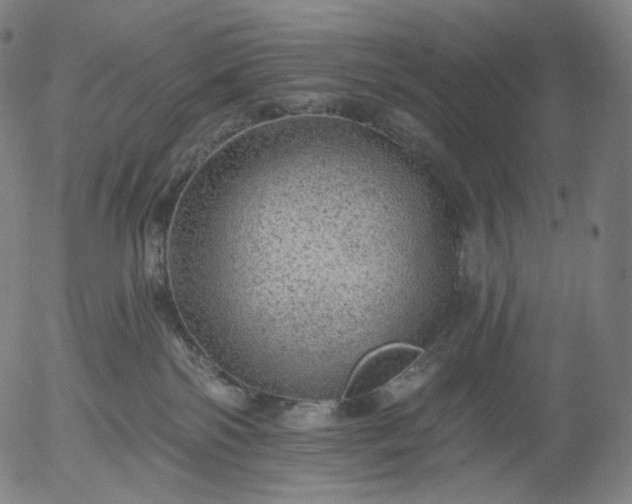 X0000055990138200509021648