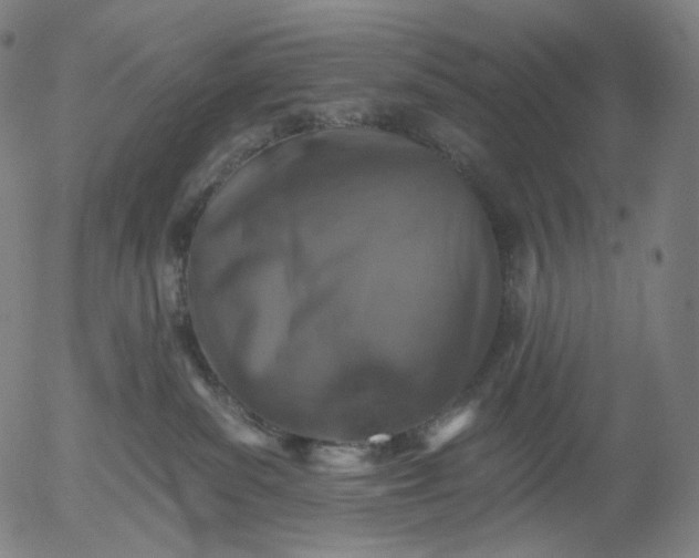 X0000055990139200509021648