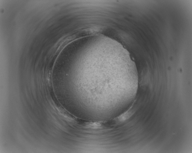 X0000055990140200509021648