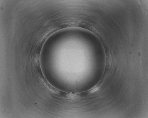 X0000055990141200509021648