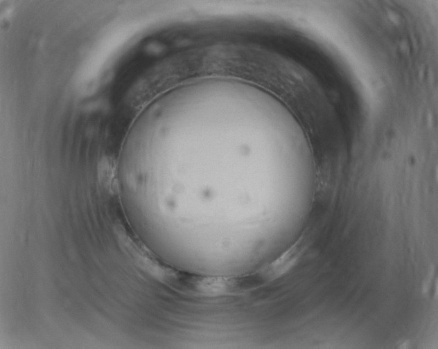 X0000055990142200509021648