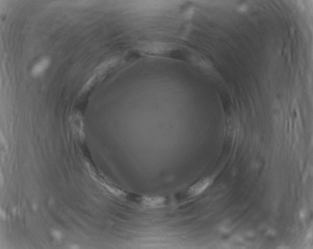 X0000055990143200509021648