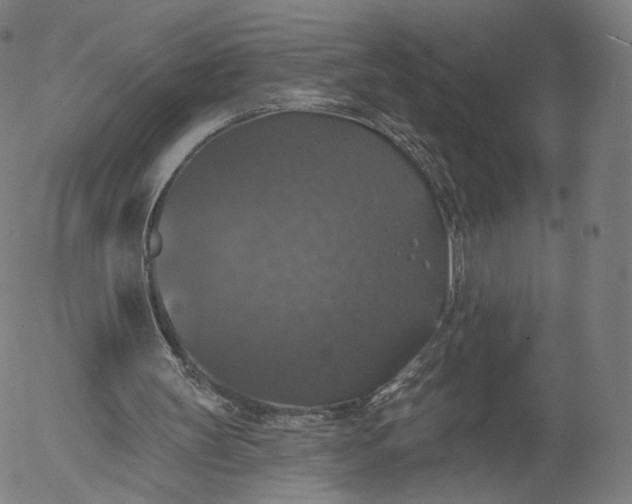 X0000055990147200509021647