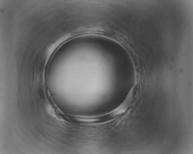 X0000055990148200509021647