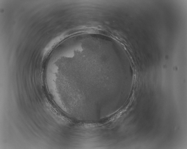 X0000055990149200509021647