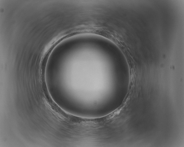 X0000055990150200509021647