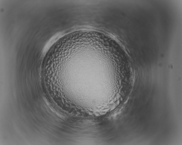 X0000055990151200509021647