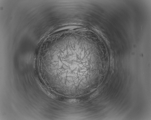 X0000055990153200509021647