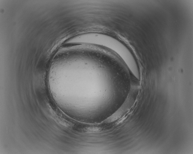 X0000055990154200509021647