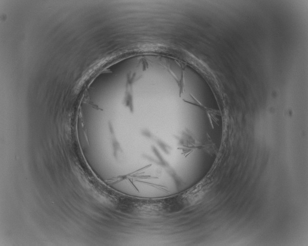 X0000055990155200509021647