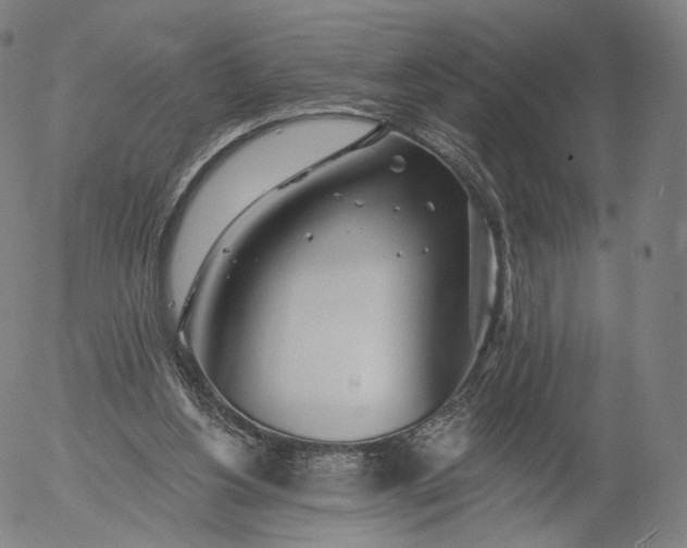 X0000055990156200509021647