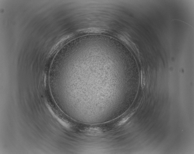 X0000055990157200509021647