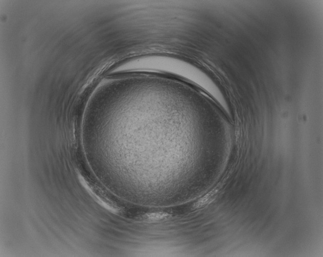 X0000055990158200509021647