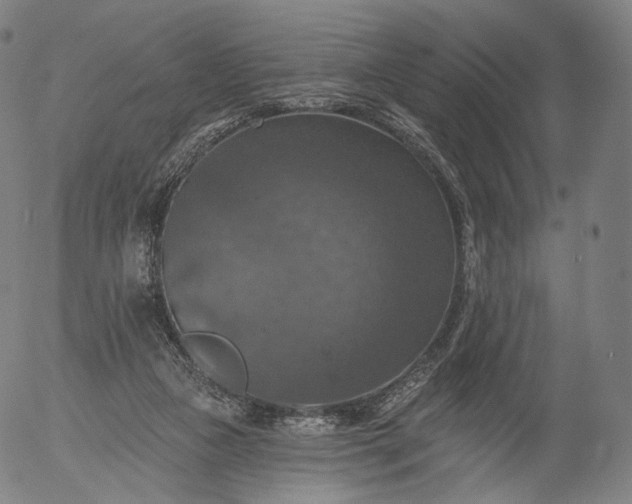 X0000055990161200509021647