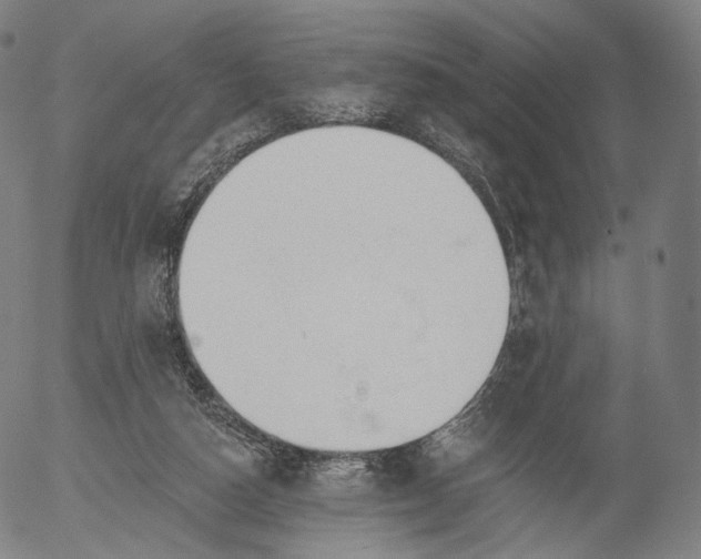 X0000055990162200509021647