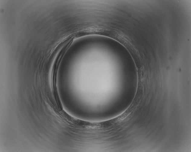 X0000055990164200509021647