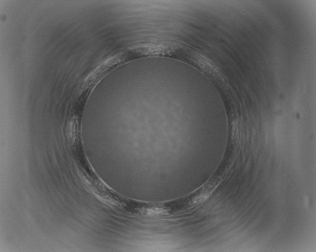 X0000055990165200509021647