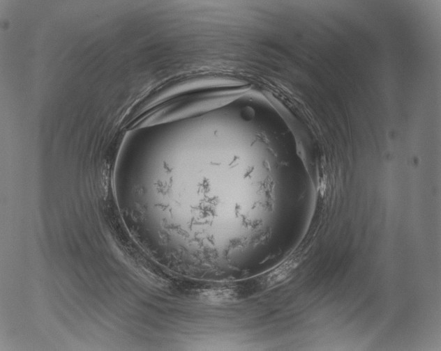 X0000055990168200509021647