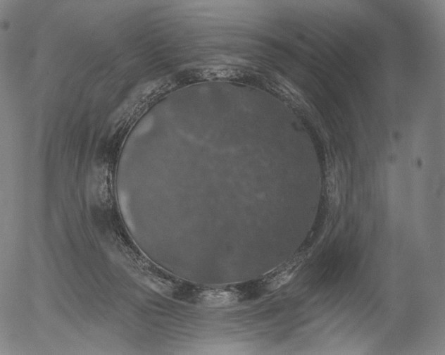 X0000055990169200509021647