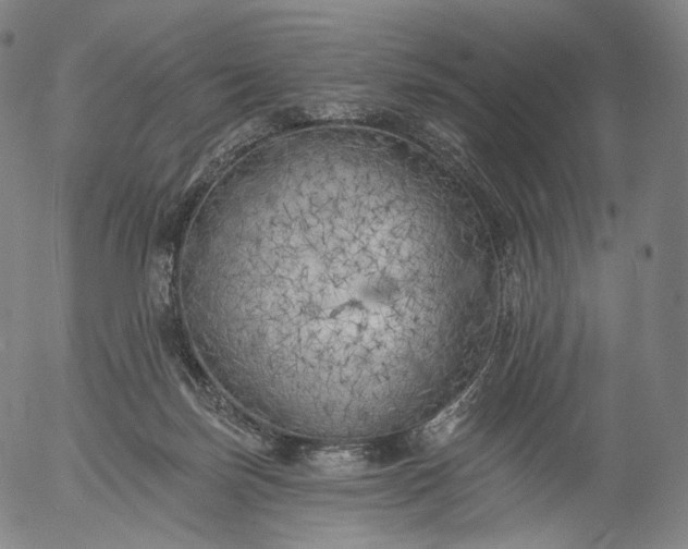 X0000055990171200509021647