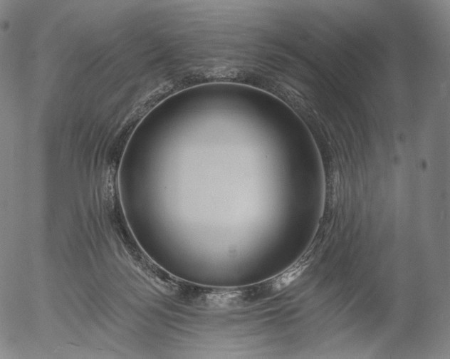 X0000055990172200509021647