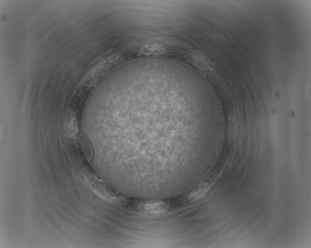 X0000055990173200509021647