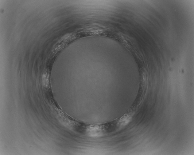 X0000055990177200509021647