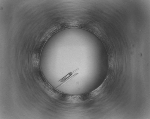 X0000055990179200509021648