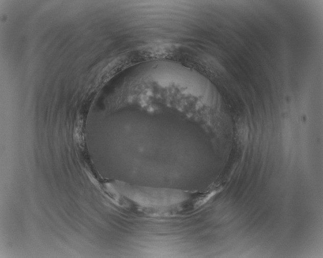 X0000055990181200509021648