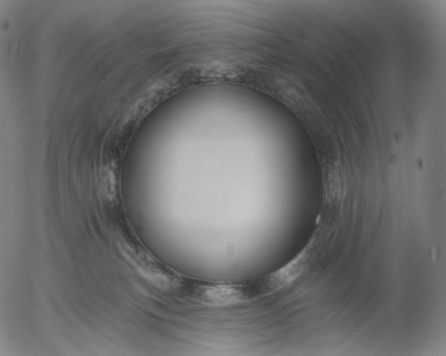 X0000055990183200509021648