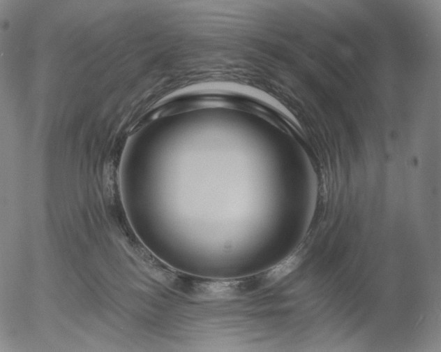 X0000055990184200509021648