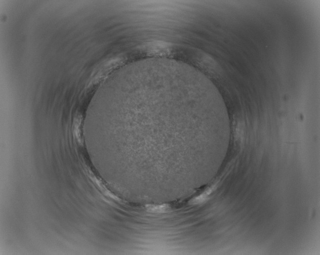 X0000055990185200509021648