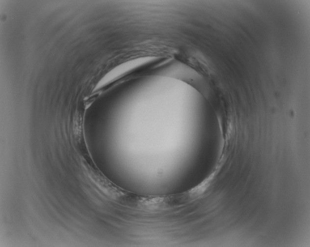 X0000055990186200509021648