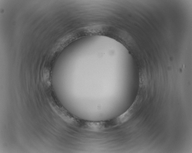 X0000055990187200509021648