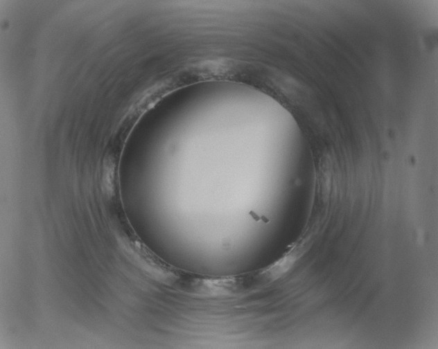 X0000055990188200509021648