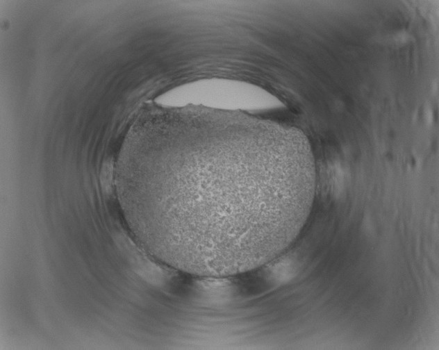 X0000055990189200509021648