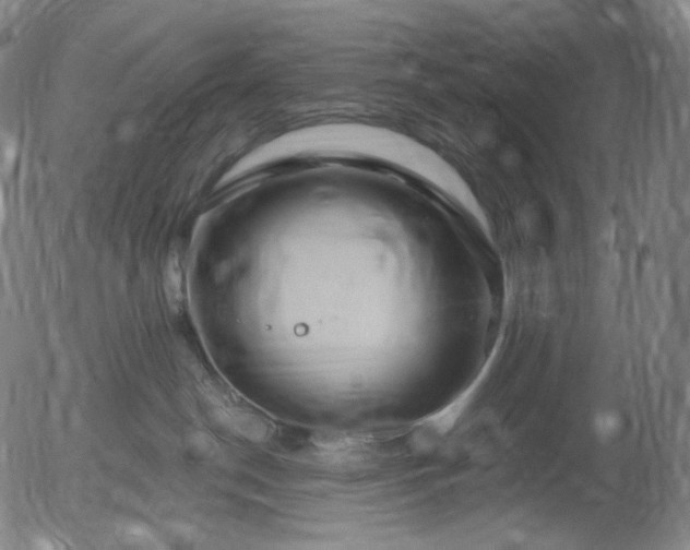 X0000055990190200509021648