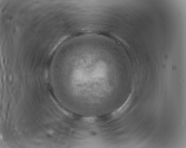 X0000055990192200509021648